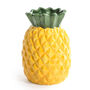 Ceramic Pineapple Stem Vase, thumbnail 3 of 3