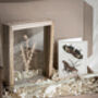 Luxury Botanical Dried Flower And Home Christmas Gift Set, thumbnail 8 of 8