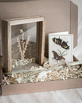 Luxury Botanical Dried Flower And Home Christmas Gift Set, 8 of 8