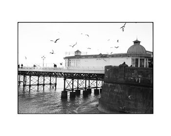 Seagulls, North Norfolk Photographic Art Print, 3 of 4