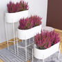 White Oval Metal Planter Stand, thumbnail 2 of 4