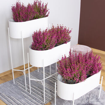 White Oval Metal Planter Stand, 2 of 4