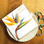 Gold Foiled Bird Of Paradise Birthday Card, thumbnail 1 of 3
