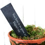 Grow Your Own Mulled Wine Gift Crate, thumbnail 3 of 10