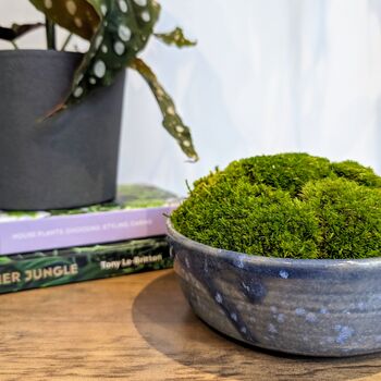 Preserved Moss In A Small Ceramic Handmade Bowl, 6 of 8