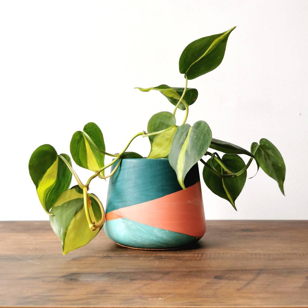 Colourful Handmade Plant Pot By Slow Make Studio