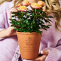 Terracotta Flower Pot Birthday Gift, thumbnail 1 of 4