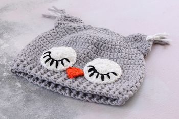 Owl Hat, 2 of 7