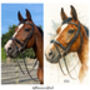 Personalised Dog, Horse And Pet Watercolour Portrait, thumbnail 10 of 12