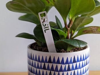 Personalized Plant Marker Garden Laser Acrylic Outdoor, 6 of 9