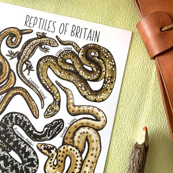 Reptiles Of Britain Watercolour Postcard, 8 of 10