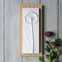 Allium No.Three Plaster Cast Plaque Mounted On Wood, thumbnail 3 of 5