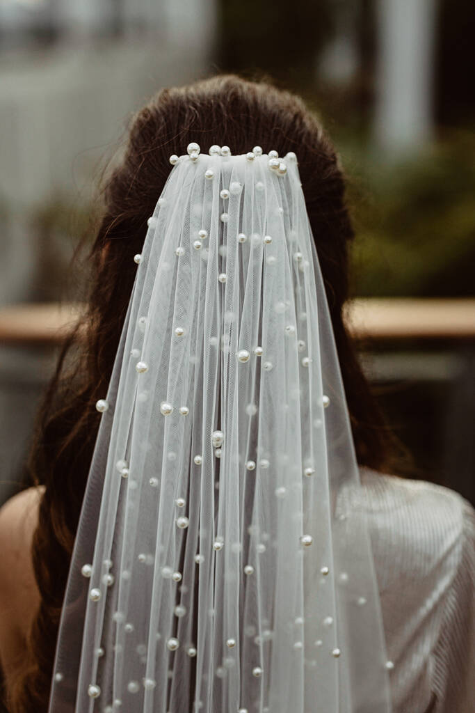 Pearla Pearl Cathedral Wedding Veil, 1 of 5