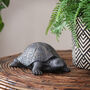Tortoise Ornament, thumbnail 1 of 2