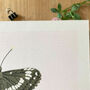 ‘White Admiral’ Butterfly A5 Giclée Art Print, thumbnail 2 of 2