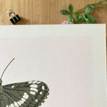 ‘White Admiral’ Butterfly A5 Giclée Art Print, 2 of 2