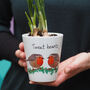 Robin Birds Plant Pot / With Winter Bird Seed, thumbnail 1 of 5