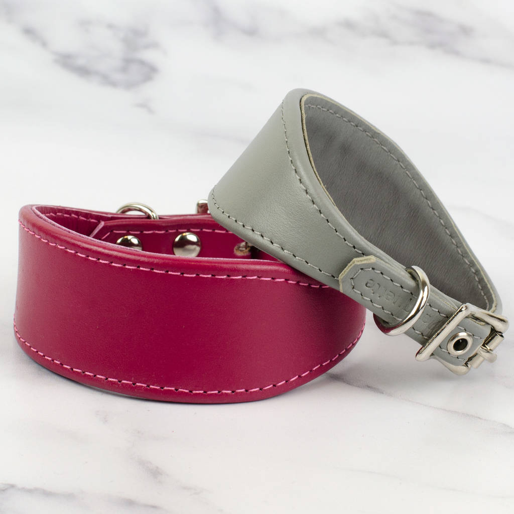Soft Leather Italian Greyhound Collar By Petiquette Collars