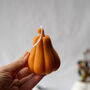 Enchanted Moon Pumpkin, thumbnail 1 of 4