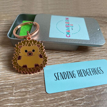 Sending Hedgehugs Keyring Gift For Friend, 4 of 7
