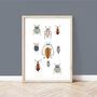 Children's Room Bugs Print, thumbnail 1 of 3