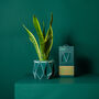 Origami Self Watering Eco Plant Pot: 15cm | Dark Teal, thumbnail 3 of 10