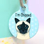 Personalised Cat Breed Name Tag, thumbnail 7 of 12