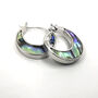 Sterling Silver Paua Shell Creole Earrings, thumbnail 2 of 7