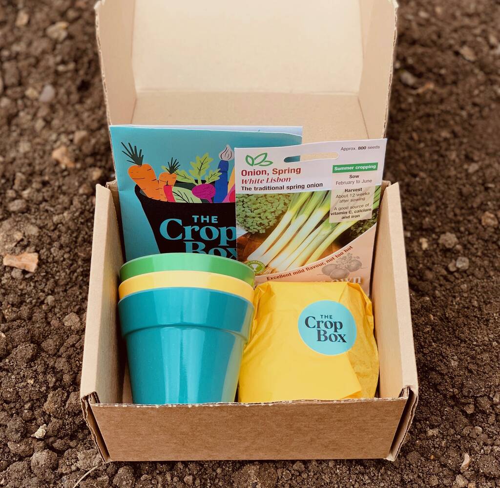 Grow Your Own Spring Onions Kit For Children, 1 of 4