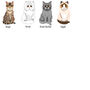 I Prefer My Cat! Cute Cat Sweater Valentine's Gift, thumbnail 7 of 8