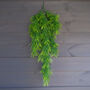 75cm Artificial Hanging Fronded Thyme Plant, thumbnail 1 of 4