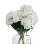 White Hydrangea Bouquet, thumbnail 1 of 3