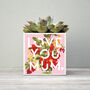 'Love You Mum' Mother's Day Plant Pot And Houseplant, thumbnail 3 of 7