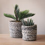 Denim And Jute Plant Pots, Baskets, Planters, thumbnail 1 of 4