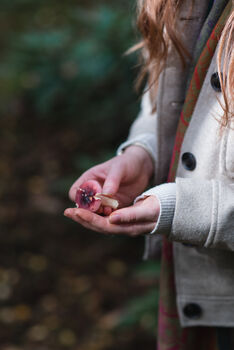 Short Guided Foraging Walk For Two In The South Downs, 2 of 12