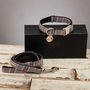 The Winchester Grey Pink Checked Dog Collar Lead Set, thumbnail 2 of 6