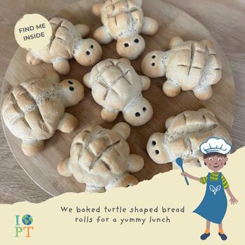 Children's Eco Activity Box: Marvellous Marine Turtles, 10 of 12