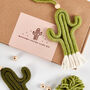 Macrame Cactus Trio Craft Kit, thumbnail 5 of 10