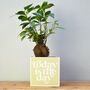 'Today Is The Day' Positivity Plant Pot And Houseplant, thumbnail 3 of 7