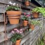 Copper Plant Pot Wall Frame, thumbnail 1 of 7