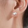 Prawn Stud Earrings In Sterling Silver, thumbnail 4 of 10