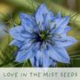 Seeds Of Love. Eco Grow Your Own Plant Kit, thumbnail 5 of 7