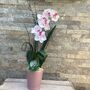 White Artificial Silk Orchid Pink Pot Mothers Day Gift, thumbnail 6 of 6