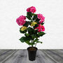 Artificial Hydrangea Flowering Plant Pink, thumbnail 1 of 5