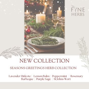 Seasons Greetings Herb Collection, 2 of 9