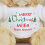 Personalised Merry Christmas Teddy Bear, thumbnail 2 of 3