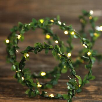 Green Foliage Battery Fairy Lights, 2 of 6