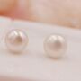 Genuine Pearl Stud Earrings In Sterling Silver, thumbnail 2 of 8