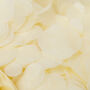Ivory Wedding Confetti | Biodegradable Paper Confetti, thumbnail 4 of 6
