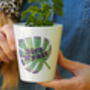 Monstera Leaf Personalised Teacher Plant Pot, thumbnail 3 of 3